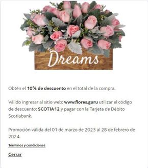 Catálogo Scotia Bank en Ciudad Obregón | 10% de descuento en Flores Guru con ScotiaBank | 5/1/2024 - 28/2/2024