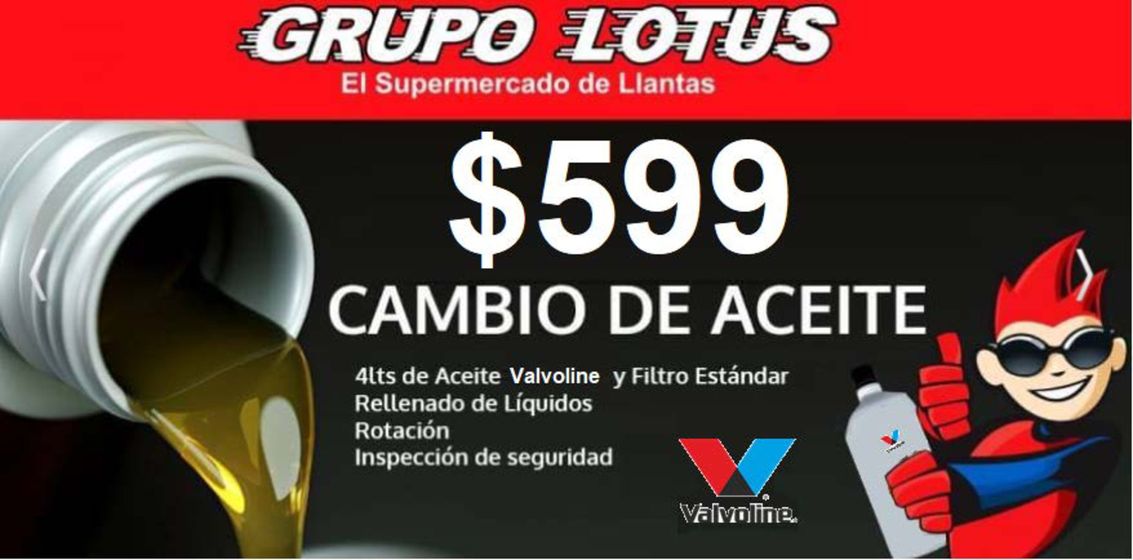 Catálogo Grupo Lotus en Puerto Vallarta | Ofertas Increíbles | 18/1/2024 - 29/2/2024