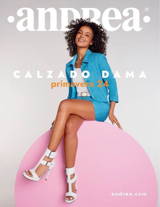 Catalogo andrea discount ropa caballero 2020