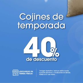 Catálogo Surtidora en Puerto Vallarta | Cojines de temporada | 19/3/2024 - 31/3/2024
