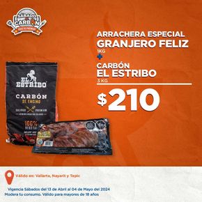 Catálogo Kiosko en Guadalupe (Nuevo León) | Sábado al Carbon | 13/4/2024 - 4/5/2024