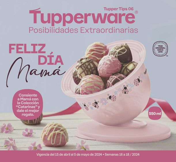 Catálogo Tupperware en Tláhuac | Tupper Tips 06 | 15/4/2024 - 5/5/2024