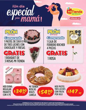 Catálogo Mi Tienda del Ahorro en García | Un día especial para mama | 10/5/2024 - 13/5/2024