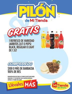 Catálogo Mi Tienda del Ahorro en Abasolo (Nuevo León) | Pilon de Mi Tienda | 13/5/2024 - 16/5/2024