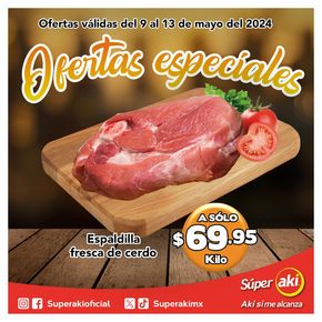 Ofertas de Supermercados en Progreso (Yucatán) | Ofertas Especiales Aki de Súper Aki | 13/5/2024 - 13/5/2024