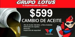 Catálogo Grupo Lotus en Puerto Vallarta | Grupo Lotus - Cambio de Aceite | 22/5/2024 - 30/9/2024