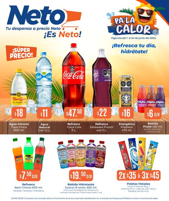 Catálogo Tiendas Neto en Cruz Grande | Tu despensa a precio Neto | 1/6/2024 - 24/6/2024