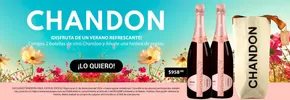 Catálogo La Europea en León | CHANDON | 16/7/2024 - 31/12/2024