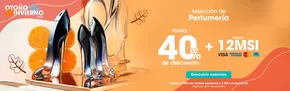 Catálogo Surtidora en Chihuahua | Otoño-Invierno - Perfumeria | 22/10/2024 - 31/10/2024