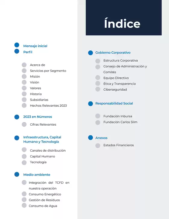 Catálogo Grupo Financiero Inbursa | Informe Anual Integrado | 14/11/2024 - 31/1/2025