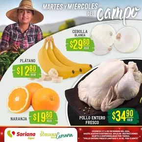 Catálogo Soriana Súper en Celaya | Martes y Miércoles del Campo Súper | 3/12/2024 - 4/12/2024