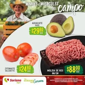 Catálogo Soriana Súper en Guadalajara | Martes y Miércoles del Campo Súper | 10/12/2024 - 11/12/2024