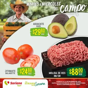 Catálogo Soriana Súper | Martes y Miércoles del Campo Súper | 10/12/2024 - 11/12/2024