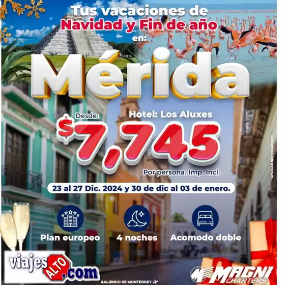 Catálogo Viajes Alto | Tus vacaciones de Navidad y Fin de ano | 11/12/2024 - 31/12/2024