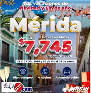 Ofertas de Viajes y Entretenimiento en Santa Catarina (Nuevo León) | Tus vacaciones de Navidad y Fin de ano de Viajes Alto | 11/12/2024 - 31/12/2024