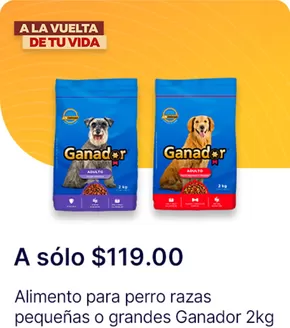 Catálogo OXXO en Guadalajara | Ofertas principales para todos los cazadores de gangas | 11/12/2024 - 25/12/2024