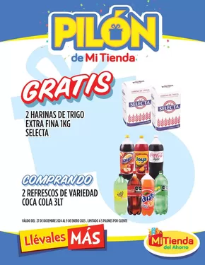 Catálogo Mi Tienda del Ahorro en San Pedro Garza García | Nuestras mejores ofertas para ti | 30/12/2024 - 9/1/2025