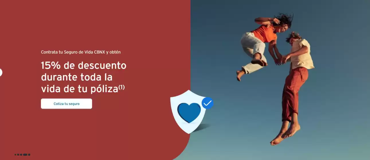 Catálogo Citibanamex | 15% de Descuento | 6/1/2025 - 31/1/2025