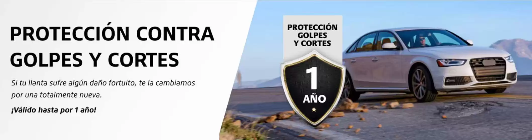 Catálogo Bridgestone en Tijuana | Ofertas exlusivas | 14/1/2025 - 28/2/2025