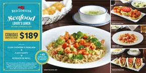 Catálogo Red Lobster en Miguel Hidalgo | Ofertas | 30/1/2025 - 30/4/2025