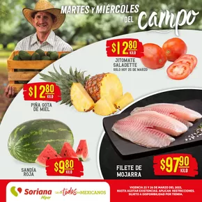 Catálogo Soriana Híper en Ciudad del Carmen (Campeche) | Martes y Miércoles del Campo Híper Golfo | 25/3/2025 - 26/3/2025