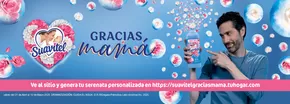 Catálogo SuBodega en La Isla (Kilómetro 10) | Ofertas SuBodega | 21/4/2025 - 10/5/2025