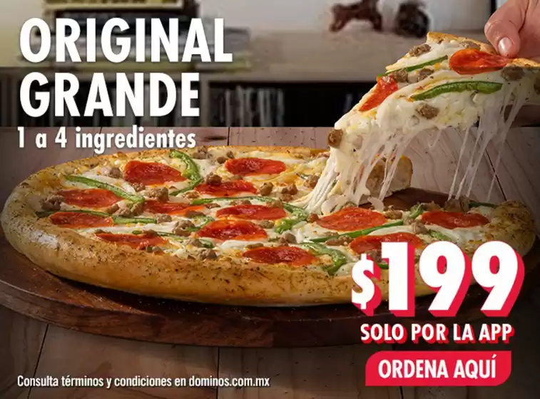 Catálogo Domino's Pizza en Heróica Puebla de Zaragoza | Promociones | 4/5/2025 - 31/5/2025
