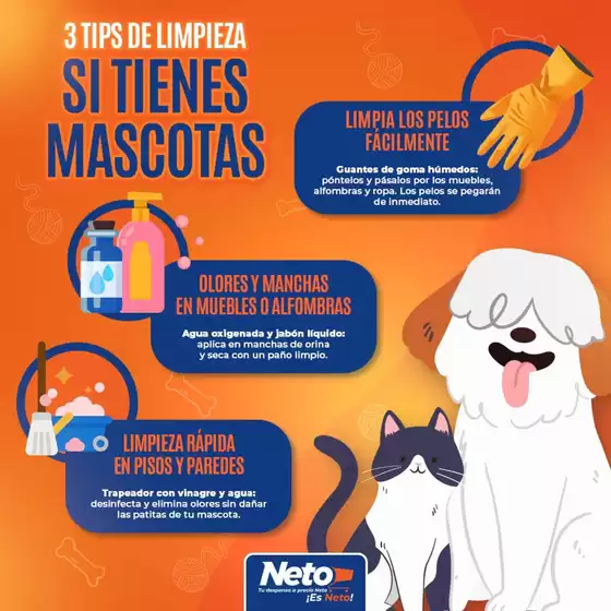 Catálogo Tiendas Neto en Tlalpan (CDMX) | Promociones actuales | 9/5/2025 - 31/5/2025