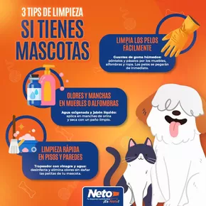 Catálogo Tiendas Neto en Apatzingán de la Constitución | Promociones actuales | 9/5/2025 - 31/5/2025