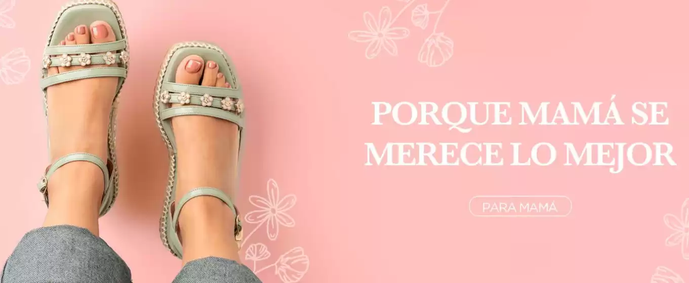 Catálogo Dorothy Gaynor en Pachuca de Soto | Promo | 9/5/2025 - 31/5/2025