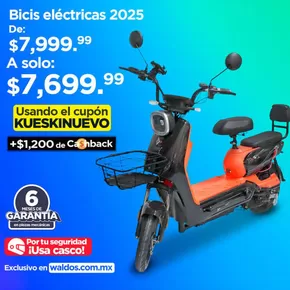 Catálogo Waldos en Sahuayo de Morelos | Waldos flugblatt | 12/5/2025 - 31/5/2025