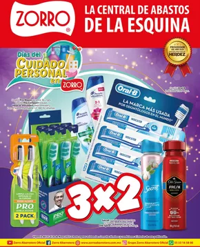 Ofertas de Supermercados en Metepec (Hidalgo) | Ofertas Zorro de Zorro | 7/5/2025 - 20/5/2025