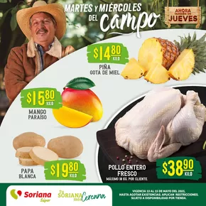 Catálogo Soriana Súper en Santa Ana Tlacotenco | Martes y Miércoles del Campo Súper Saltillo | 13/5/2025 - 15/5/2025