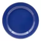 Oferta de Plato de peltre del No. 30 Profundo Azul Macuira por $99 en Almacenes Anfora