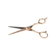 Oferta de TIJERA SCISSORS WINGS COBALT CZ55 RG por $6513 en Probell