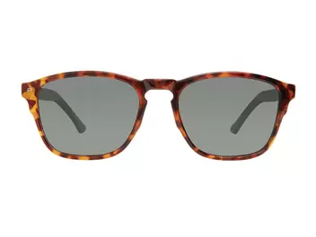 Oferta de Lentes de Sol Privé Revaux THENELSON/S Havana por $840 en Solaris