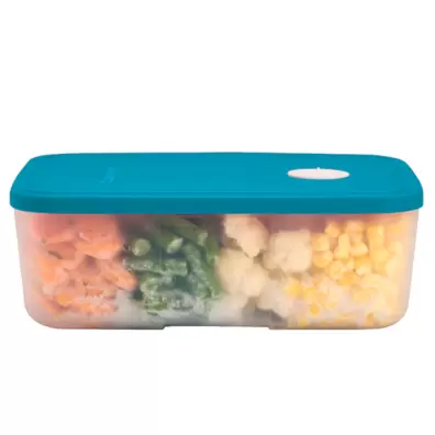 Oferta de Recipiente para refrigerar y congelar alimentos Tupperware 1.5L  con fechador. por $159.9 en Tupperware