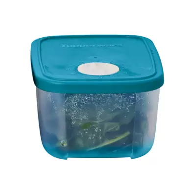 Oferta de FRIGOFECHADOR CHICO #2 por $179.9 en Tupperware