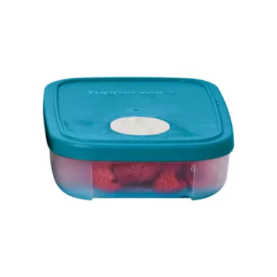 Oferta de FRIGOFECHADOR CHICO #1 por $144.9 en Tupperware