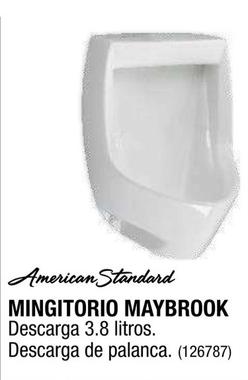 Oferta de American Standard - Mingitorio Maybrook en The Home Depot