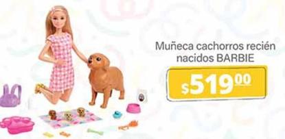 Oferta de Barbie - Muñeca Cachorros Recién Nacidos por $519 en La Comer