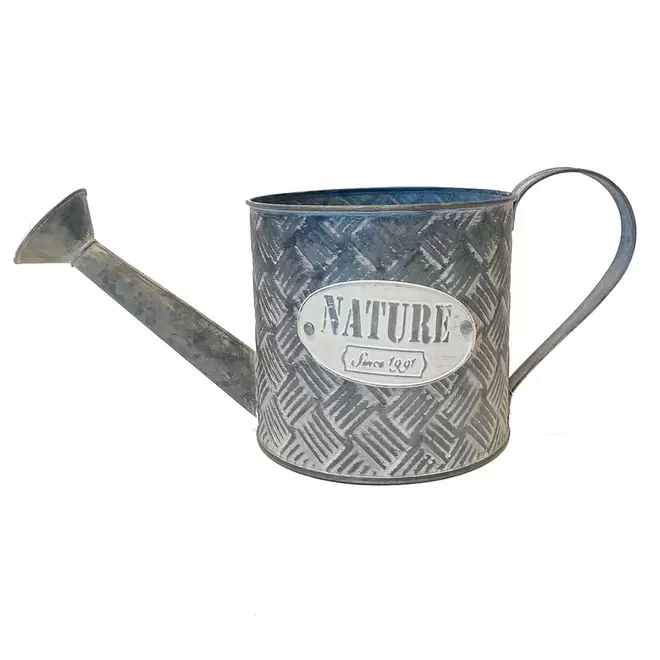 Oferta de Regadera De Metal Nature Color Gris por $287.4 en Perfect Home