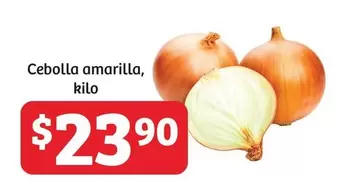 Oferta de Cebolla Amarilla por $23.9 en Soriana Súper