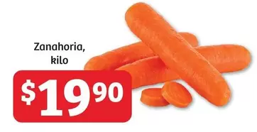 Oferta de Zanahoria por $19.9 en Soriana Súper