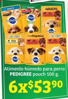 Oferta de Pedigree - Alimento Húmedo Para Perro Pouch por $53.9 en Soriana Híper