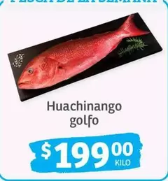 Oferta de Huachinango Golfo por $199 en Soriana Híper