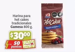 Oferta de Gamesa - Harina Para Hot Cakes Tradicionales por $30 en Soriana Híper