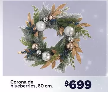 Oferta de Corona -  De Blueberries por $699 en Soriana Súper