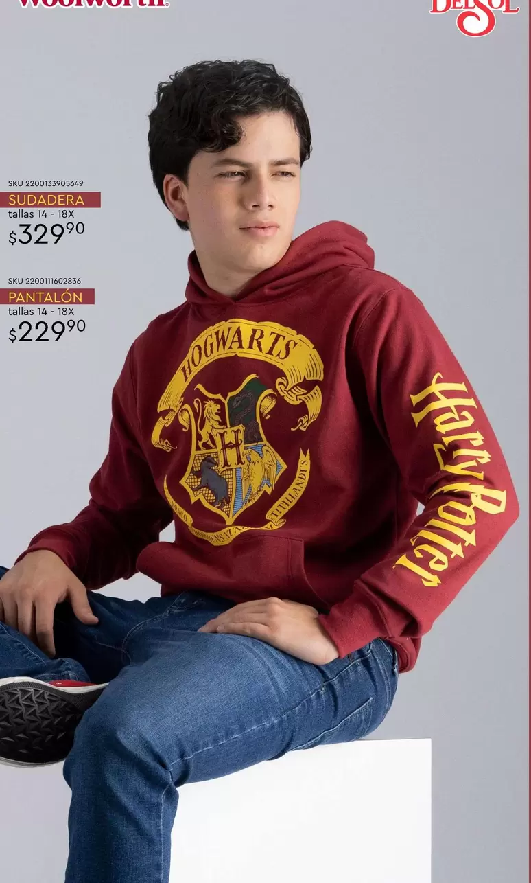 Oferta de Harry Potter - Ovozabook por $329.9 en Del Sol