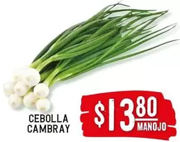 Oferta de Cebolla Cambray por $13.8 en Soriana Híper